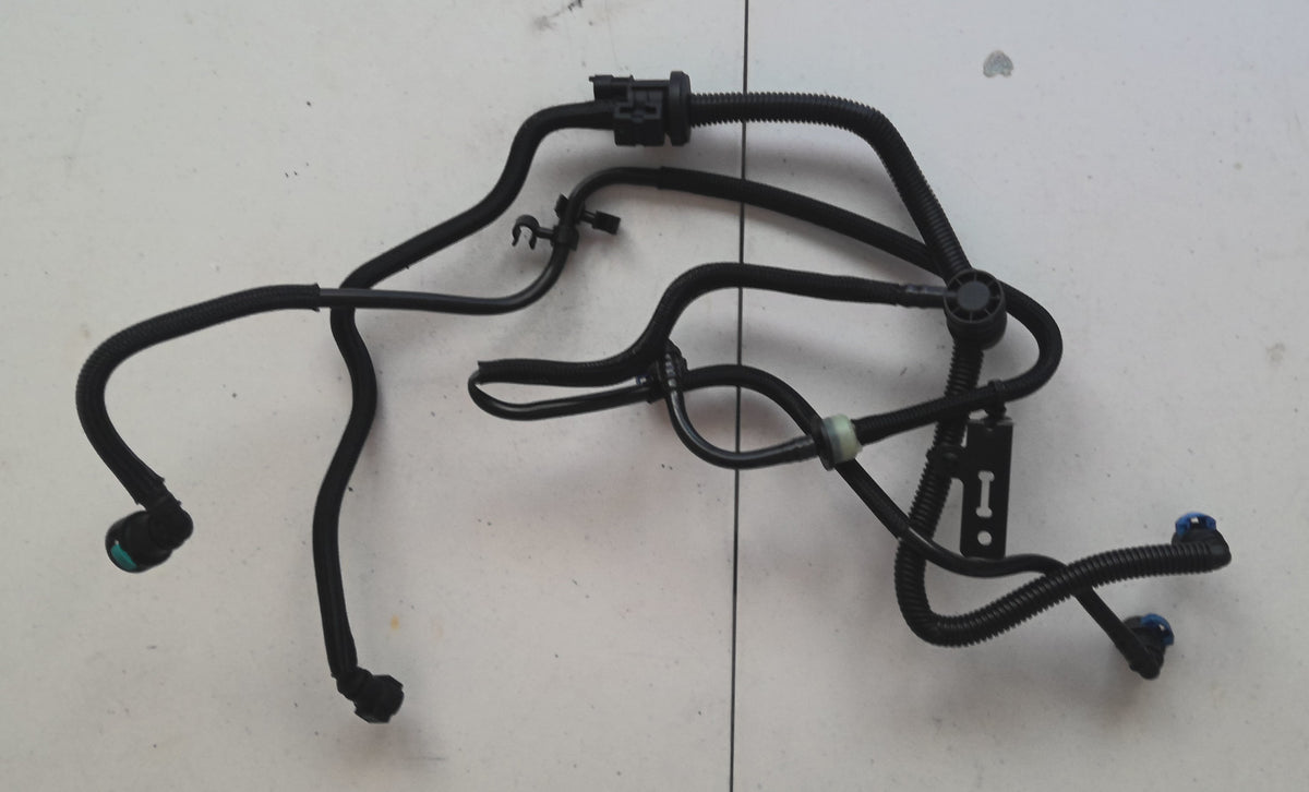 Vapor Canister Purge Valve