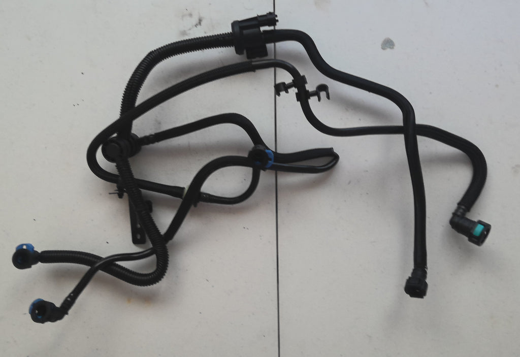 Vapor Canister Purge Valve